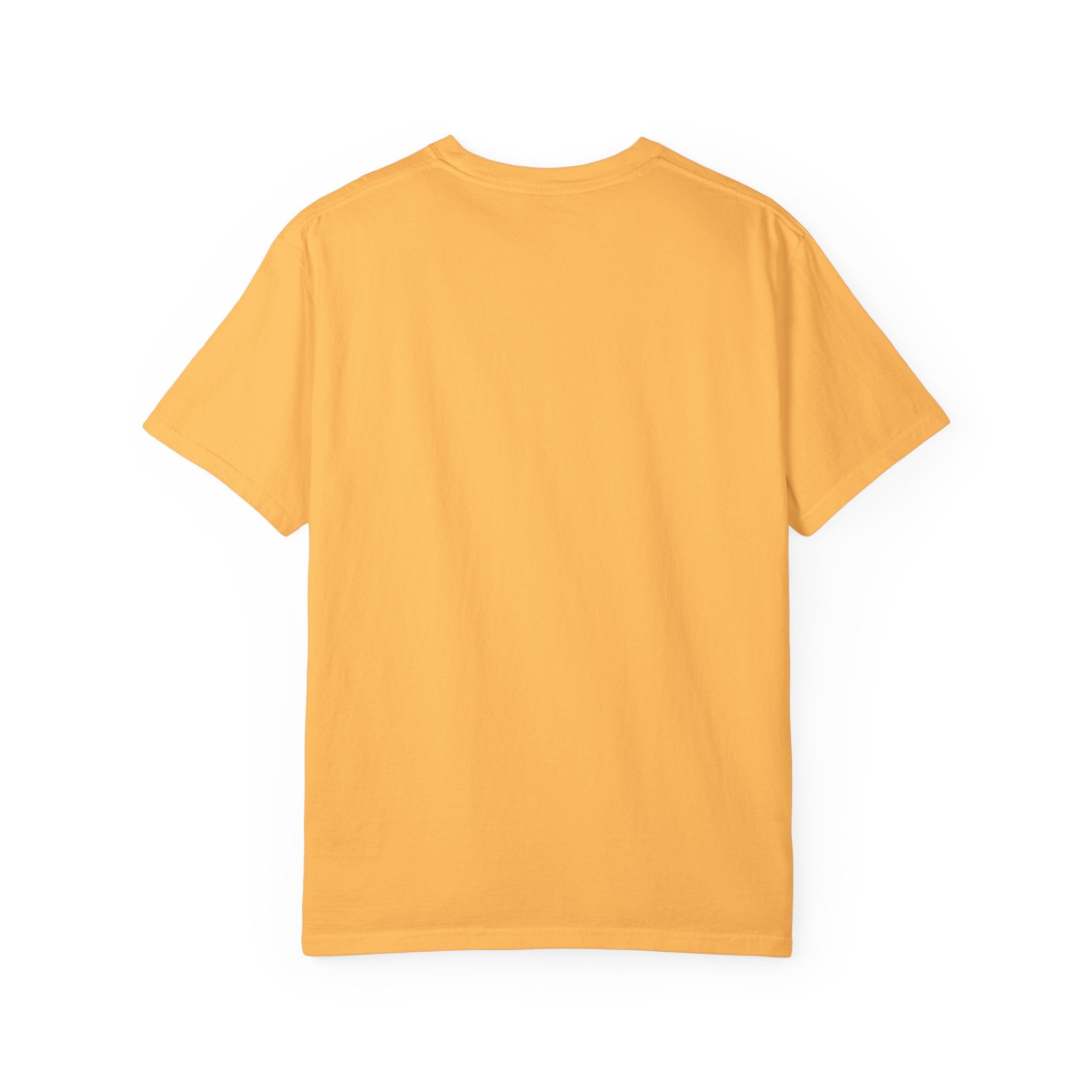 Austin Barton Creek T-Shirt, Casual Summer Tee, Gift for Fishermen, Texas Souvenir, Relaxed Fit Clothing